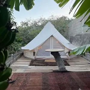 Yurt In Avocado Garden Tente de luxe